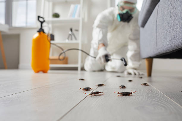 Commercial Kitchen Cockroach Control in Derwood